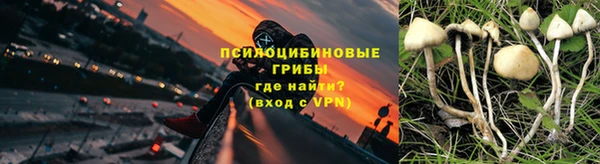 трава Снежногорск