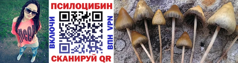Псилоцибиновые грибы Psilocybine cubensis  хочу   Вятские Поляны 